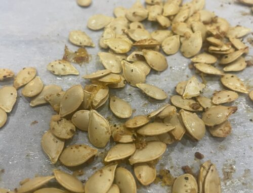 Homemade Roasted Pumpkin Seeds From Fresh Pumpkins